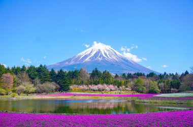 mount-fuji-8010752_1280-1.jpg